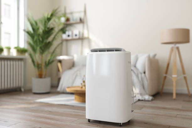 Best HVAC Repair Near Me  in Bloomfield, IA